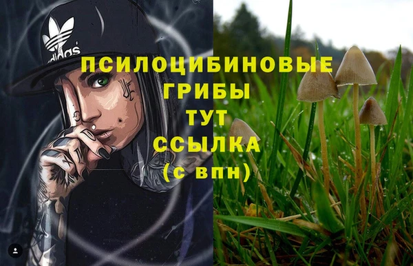 кокаин колумбия Богородицк