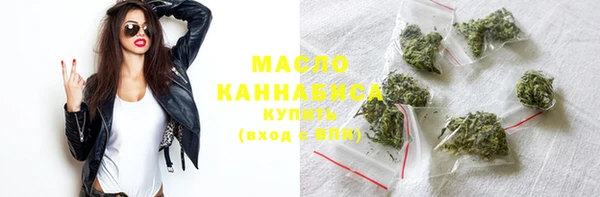 гидра Богданович